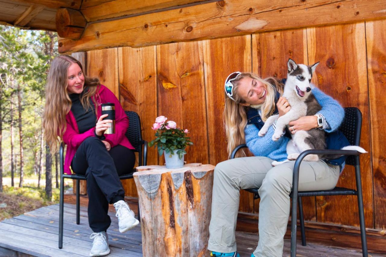 Jotunheimen Husky